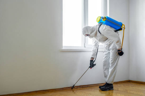 Best Pest Prevention Services  in Lumberton, NC