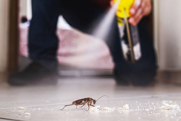 Trusted Lumberton, NC Pest Control Experts