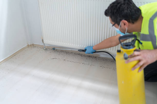 Wasp Removal Services in Lumberton, NC